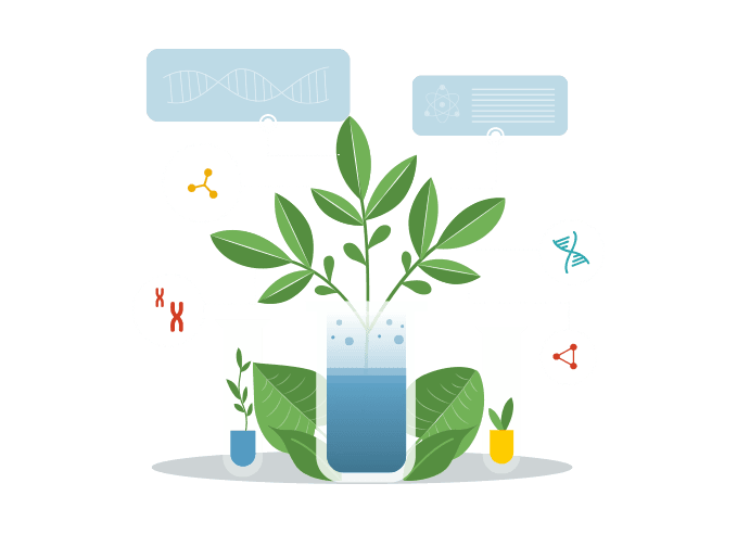Illustration representing natural nutraceutical research and botanical extraction