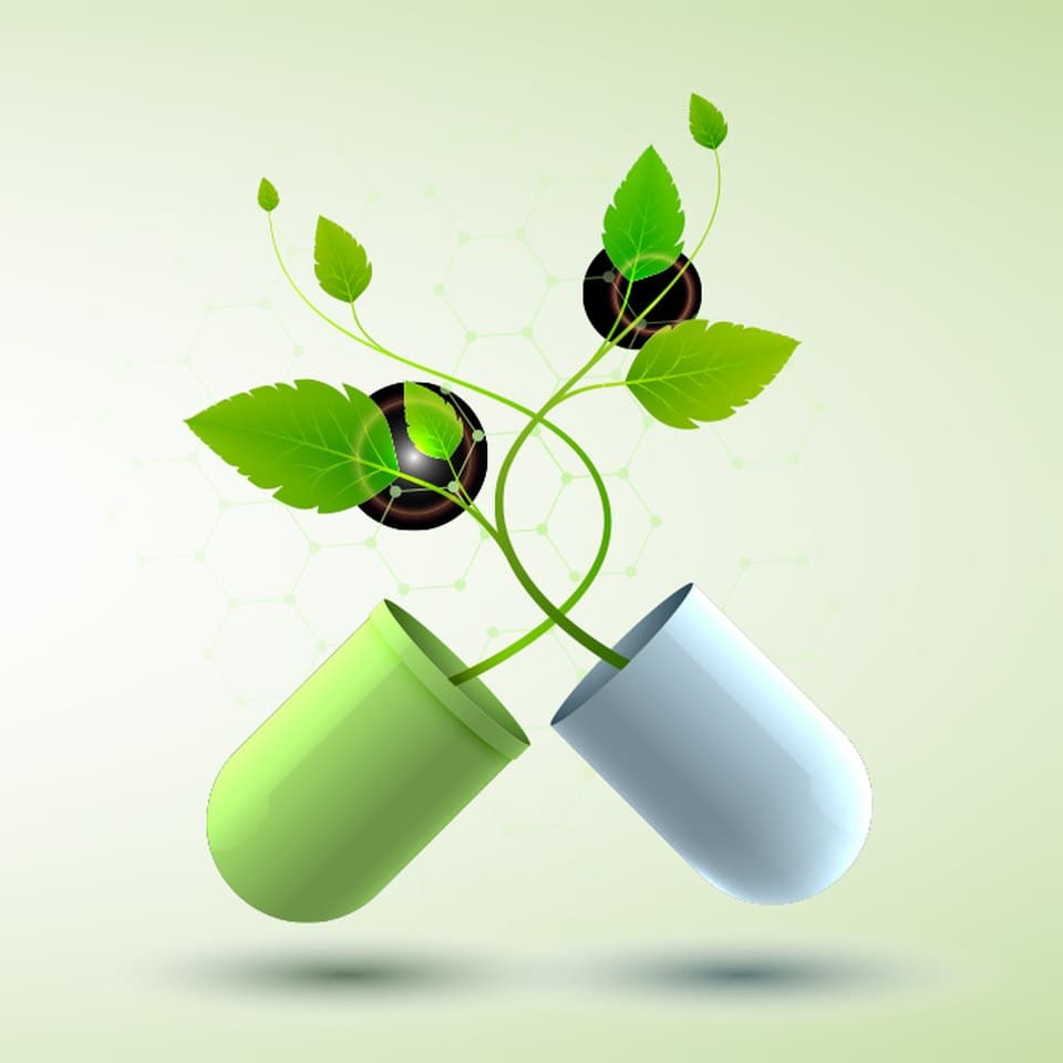 Natural nutraceutical capsule formed from botanical leaves